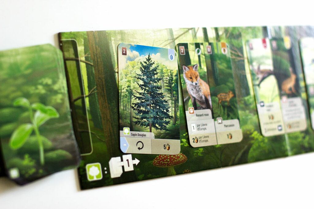 Forêt Mixte plateau de jeu